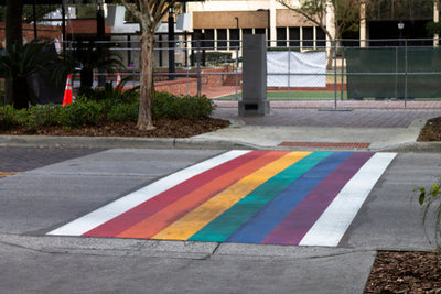 LGBTQIA+ Youth Denied the Fundamental Right to Education in Florida