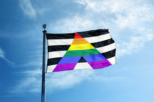 How to be an LGBTQ+ ally — ally pride flag at a march