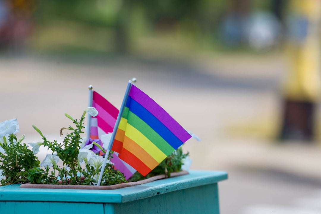 Small rainbow pride flags in a flowerpot celebrating LGBTQ+ and agender pride