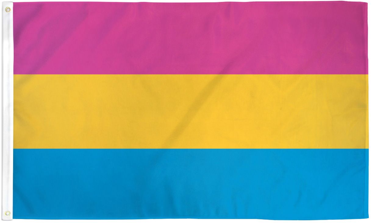 Hooray! I’m Gay for Everyone Pansexual Pride Flag