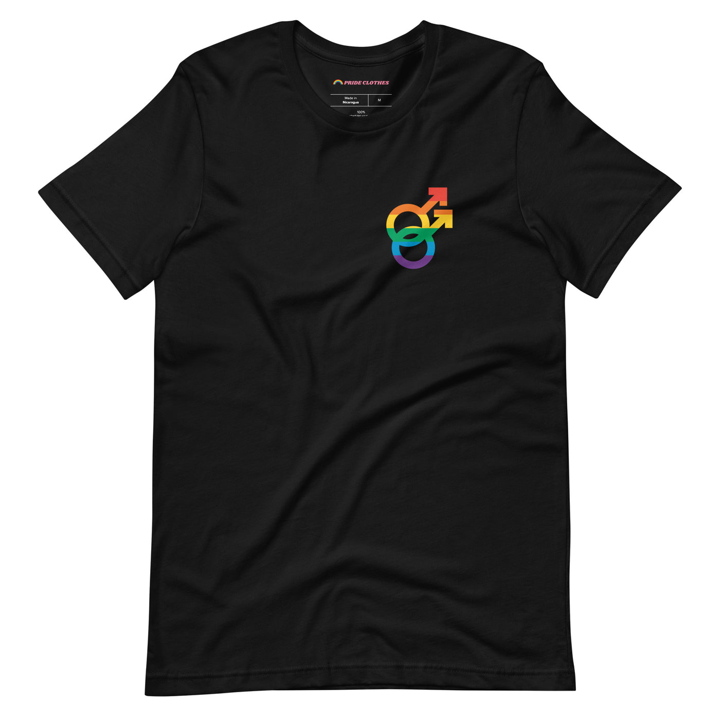 Pride Clothes - Fearlessly Express Your Truth Gay Gender Pride T-Shirt - Black